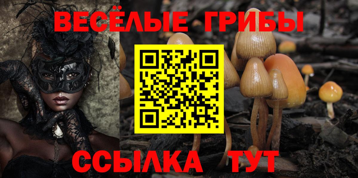 Галлюциногенные грибы прущие грибы Кинешма